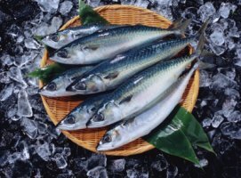 신장에 좋은 음식 10가지 1