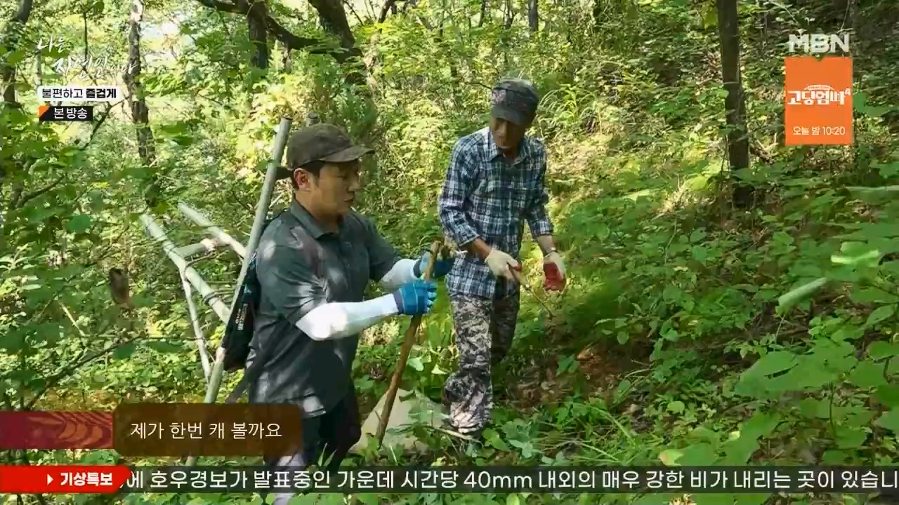 나는 자연인이다.E566.230810p.WANNA.mp4_20230810_202557.187.jpg