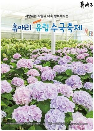  [8월 축제 정보] 2023 휴애리 유럽 수국축제, 제주에서 아름다운 여름 추억을 만드는 필수 코스!