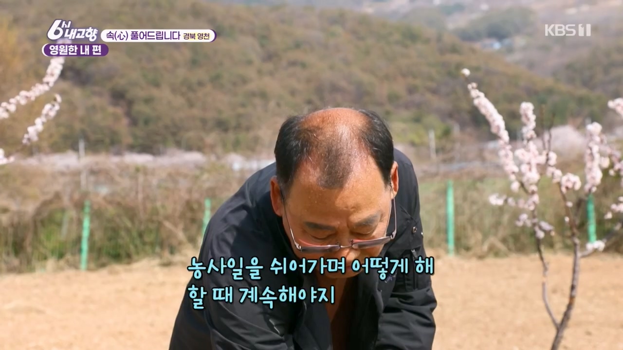 6시 내고향.E7763.230411p.H264-F1RST.mp4_20230411_203314.829.jpg