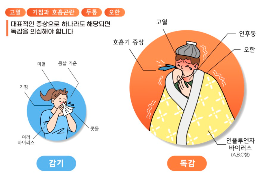 독감보험-진단비