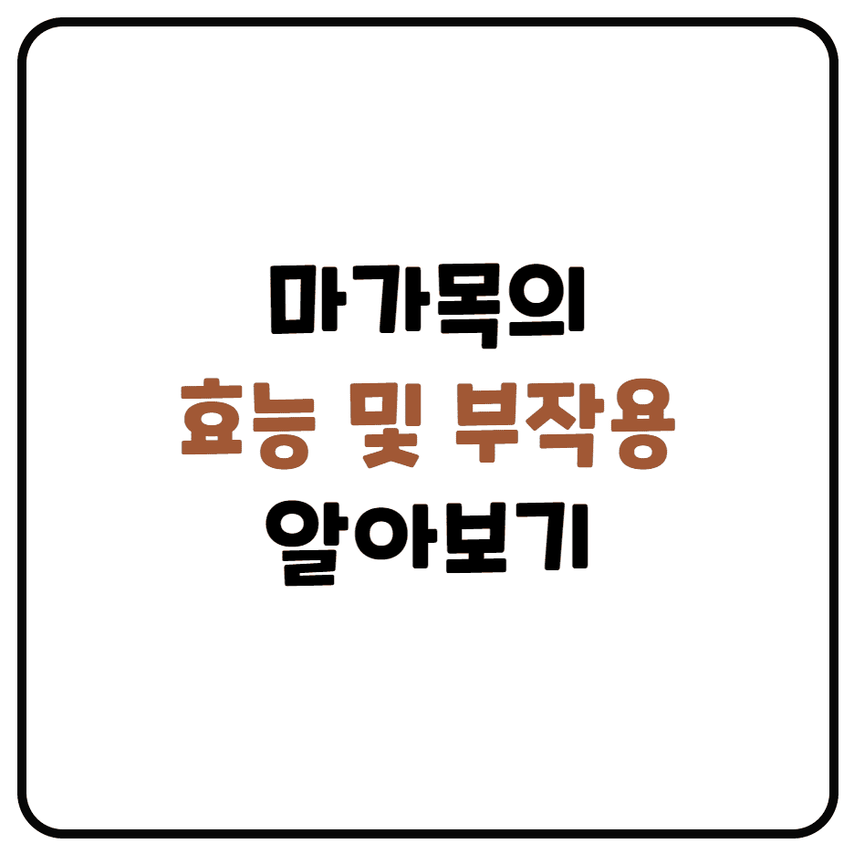  마가목의 효능 및 부작용 알아보기