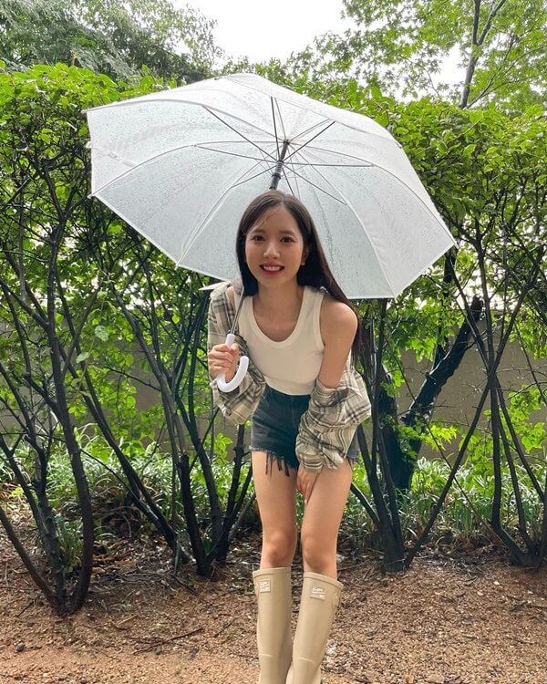 보나 이미지