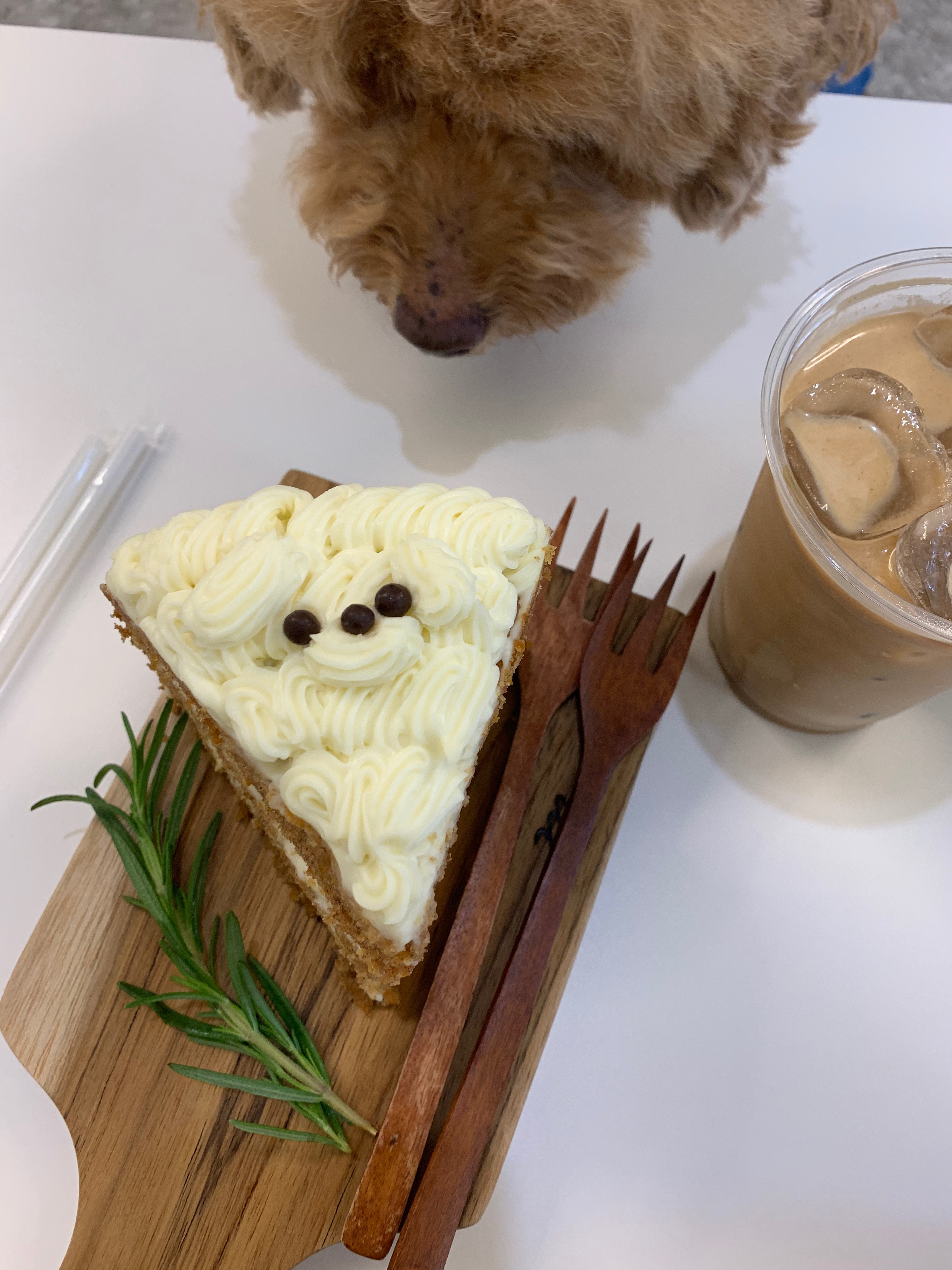  당근케이크(with 멍멍이)