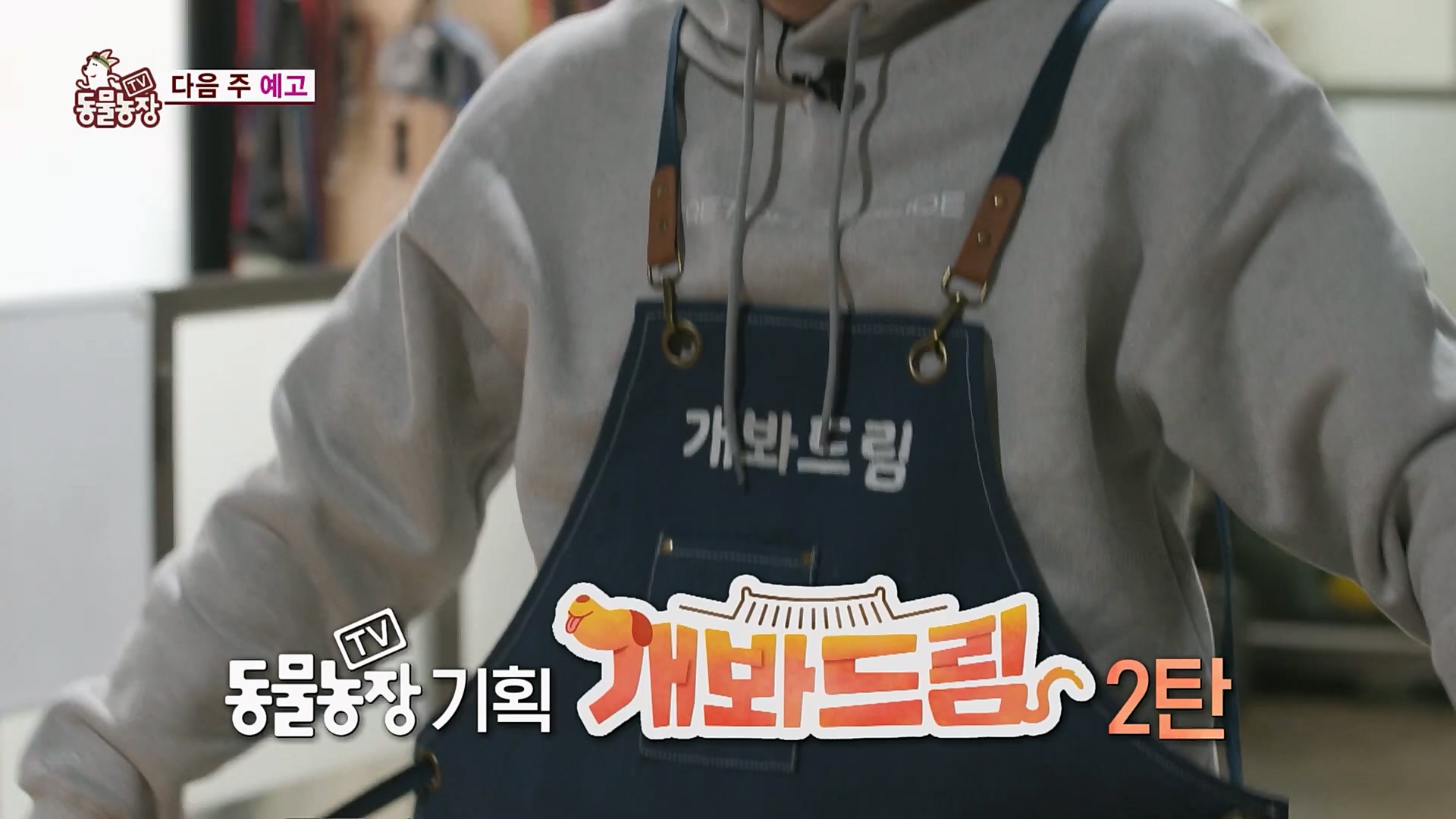 TV 동물농장.E1110.230305p.H264-F1RST.mp4_20230305_183205.225.jpg