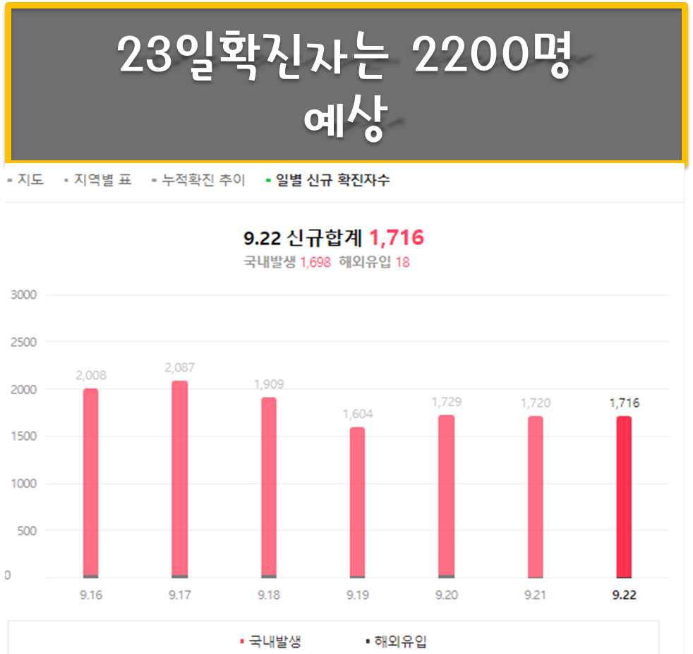 23일-전국-코로나-확진자-현황-서울-대구-이동동선-확진자장소-확진자동선