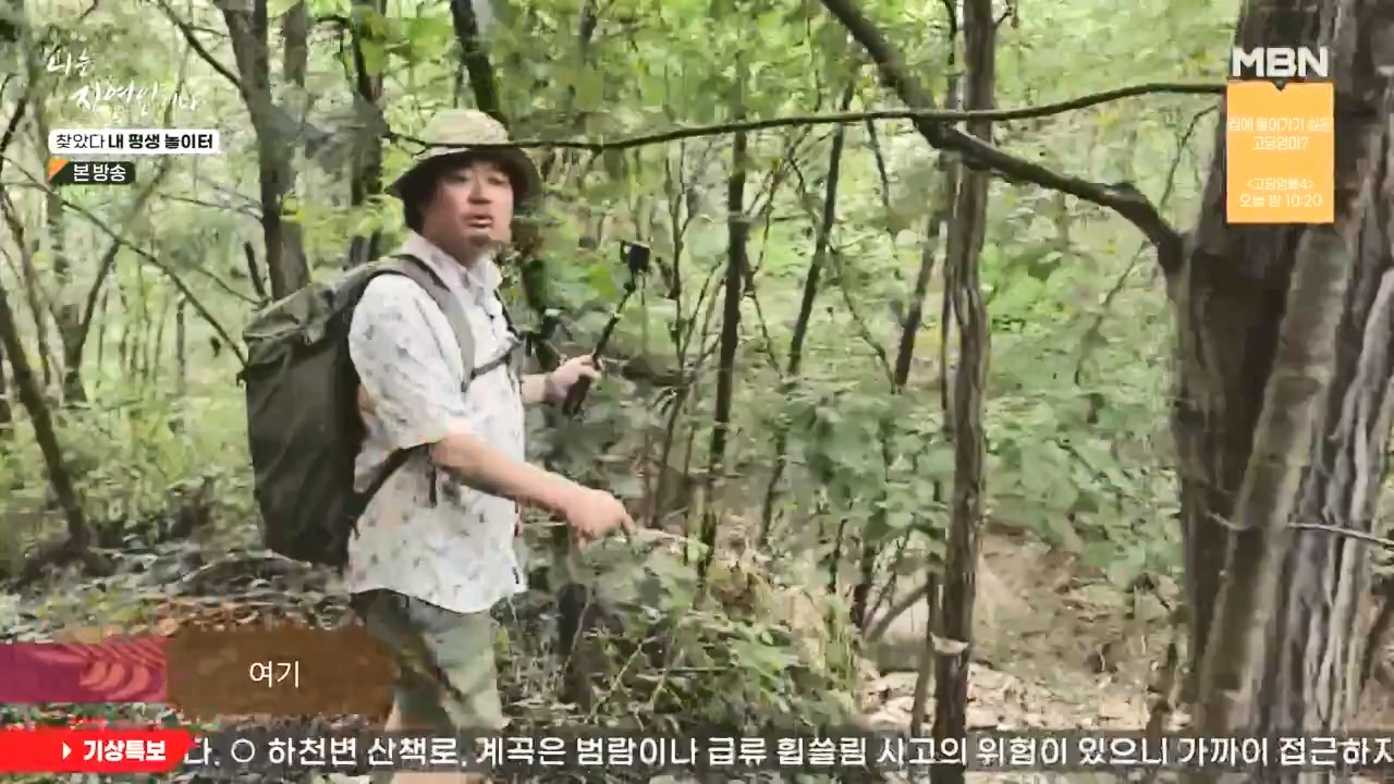 나는 자연인이다.E569.230831p-NEXT.mp4_20230831_201755.643.jpg