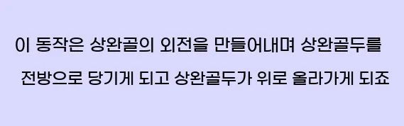  이 동작은 상완골의 외전을 만들어내며 상완골두를 전방으로 당기게 되고, 상완골두가 위로 올라가게 되죠.