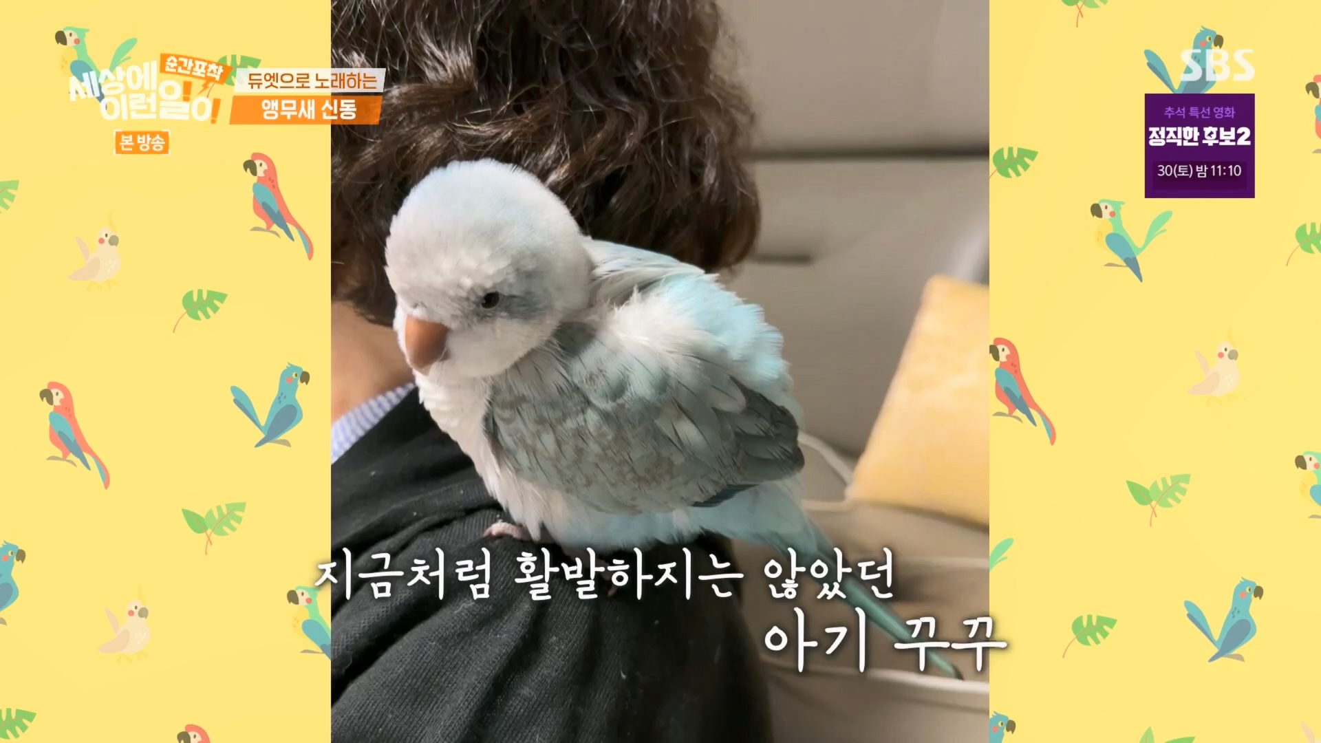 순간포착 세상에 이런일이.E1247.230923p.H264-F1RST.mp4_20230924_152650.603.jpg