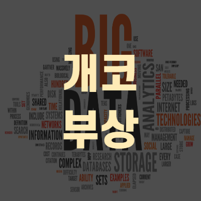  개코부상 김수미 인스타 통해 알려져(+4시간 대수술)