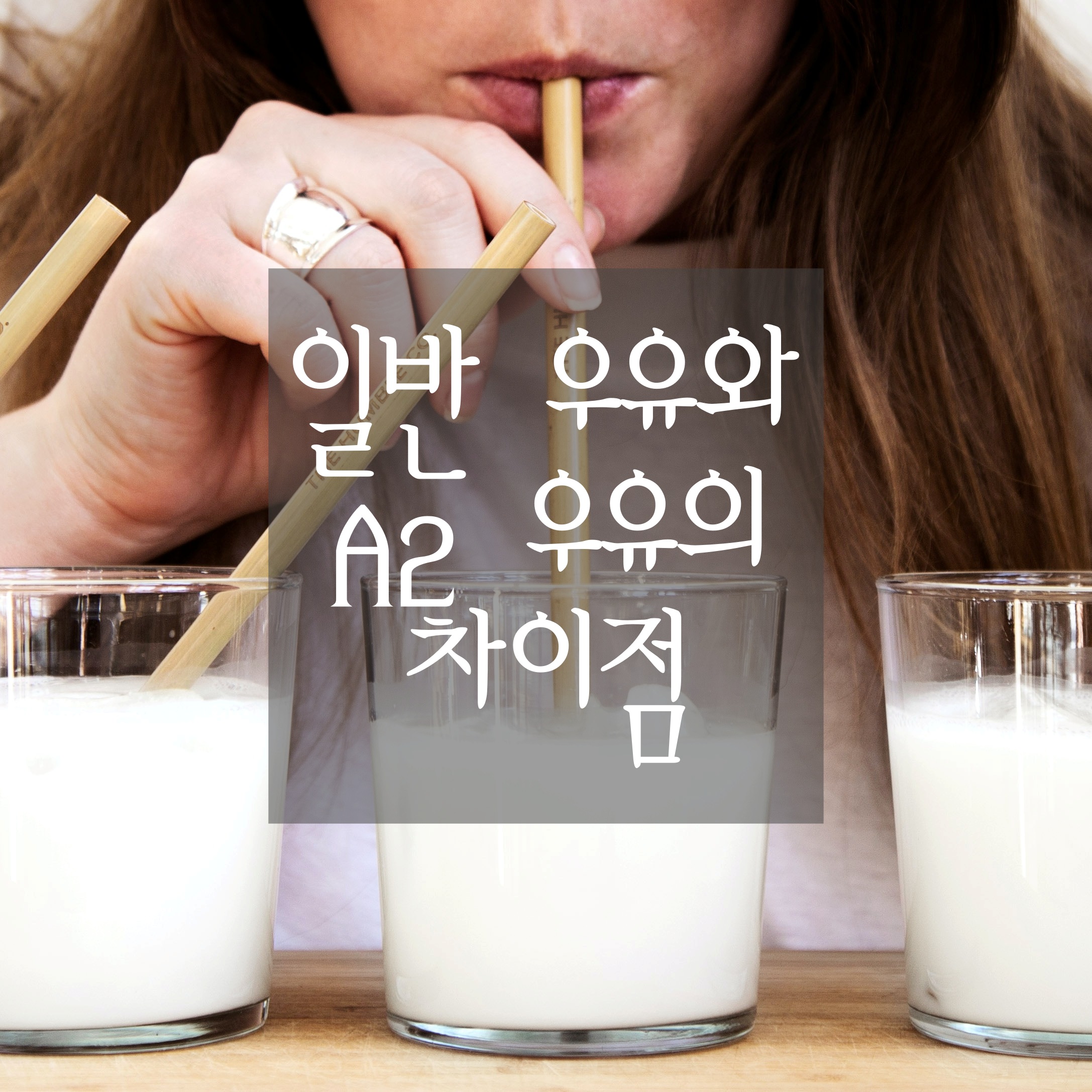 일반 우유와 A2 우유의 차이점