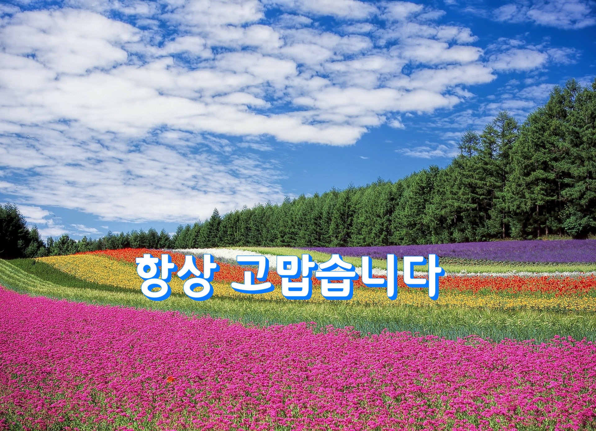  항상 고맙습니다-~