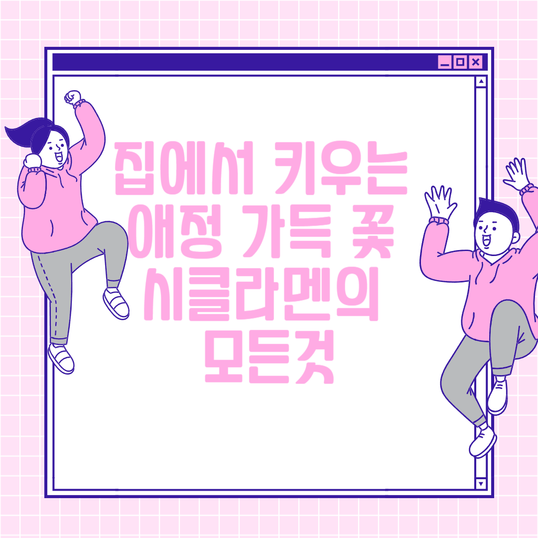 집에서 키우는 애정 가득 꽃&#44; 시클라멘의 모든것