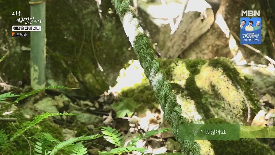 나는 자연인이다.E559.230621p.H264-F1RST.mp4_20230622_204021.134.jpg