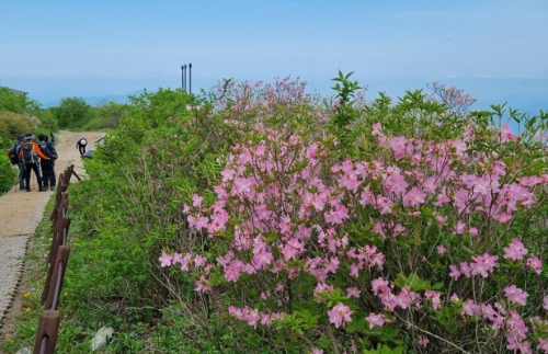 충북 단양 소백산 연화봉