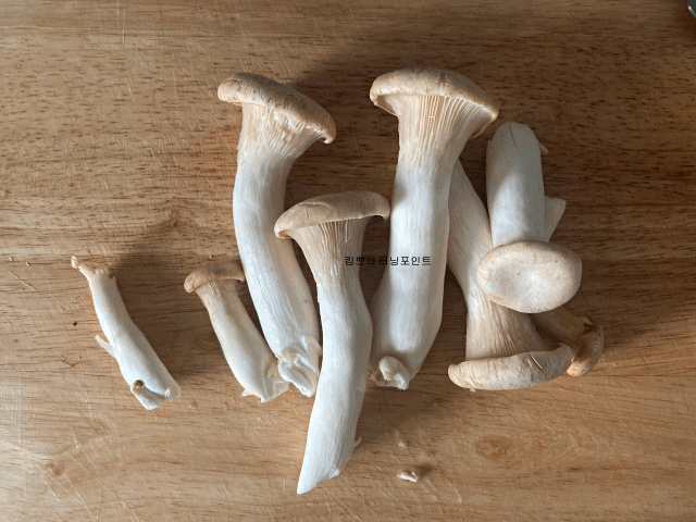머쉬바루버섯-아위버섯-손질