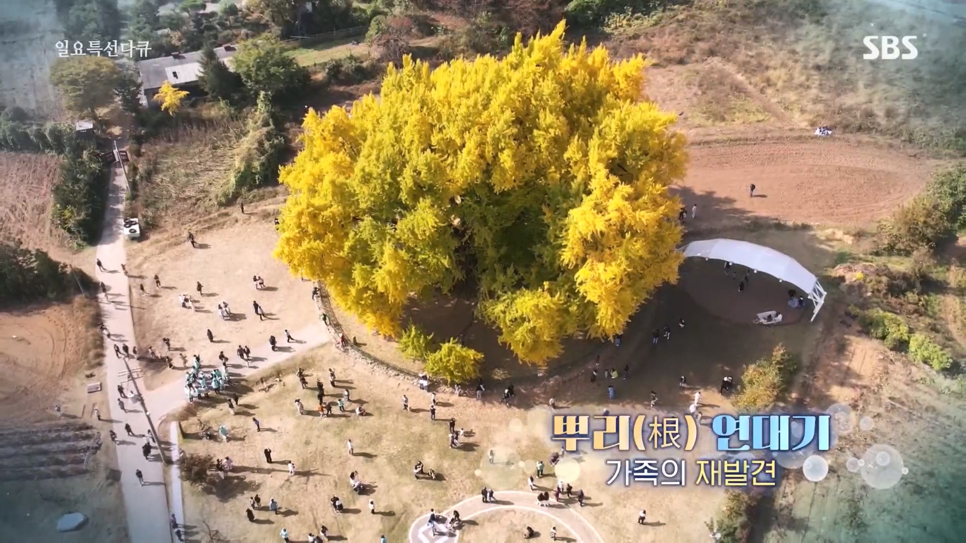 일요 특선 다큐멘터리.E327.231105p.H264-F1RST.mp4_20231105_162416.379.jpg