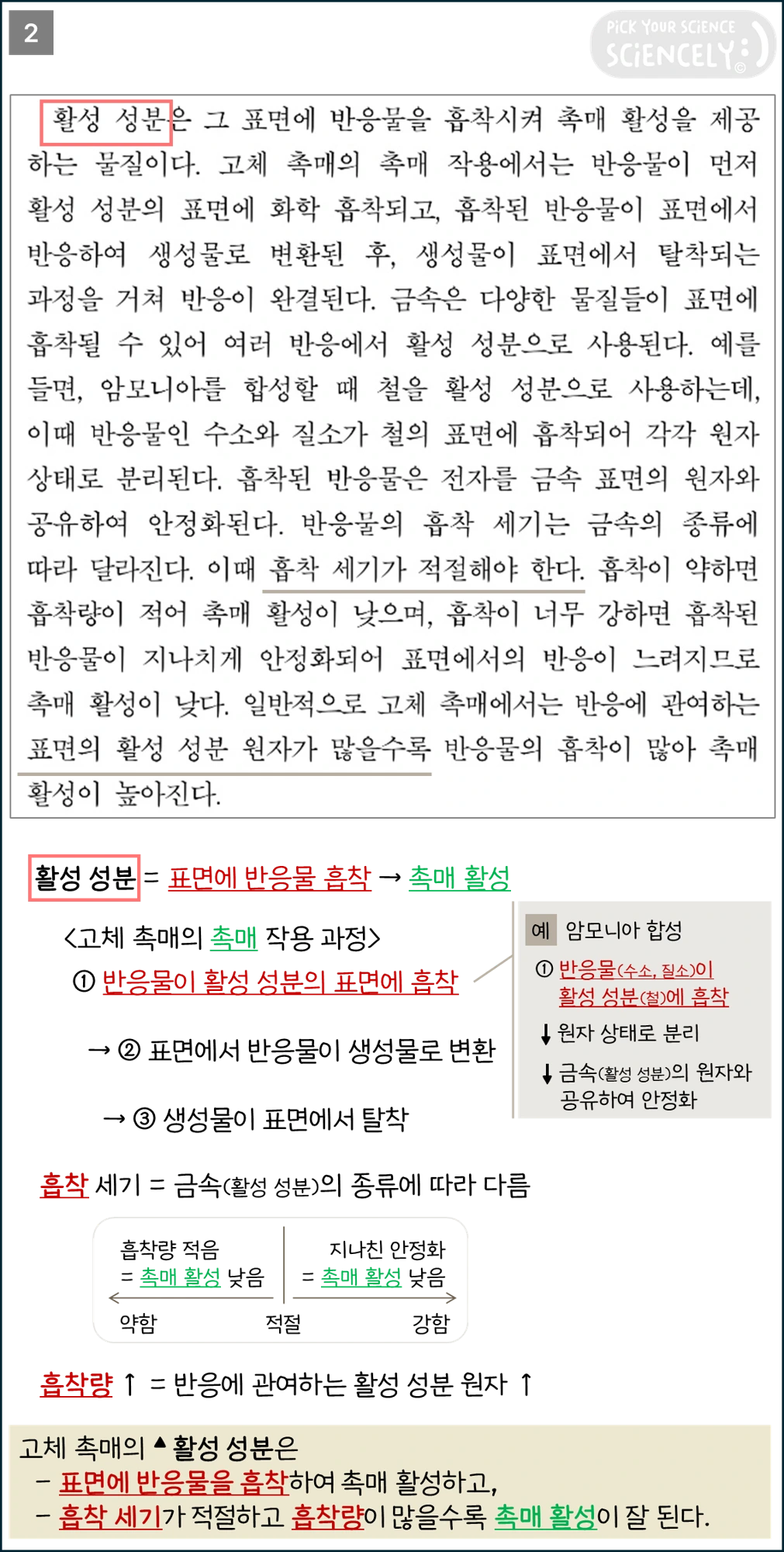 국어 독서 과학기술, 국어 비문학 과학기술, 24학년도 고3 6평 Q8-11, 화학 반응과 촉매, 활성화 에너지와 촉매
