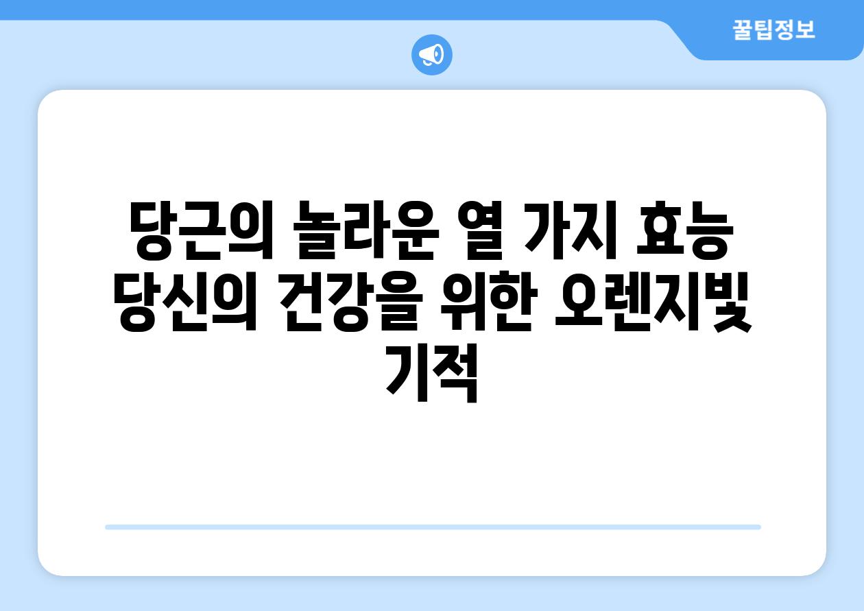 당근의 놀라운 열 가지 효능 당신의 건강을 위한 오렌지빛 기적