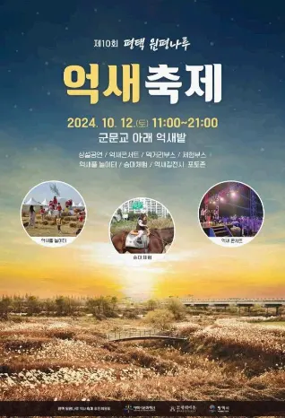 평택원평나루억새축제
