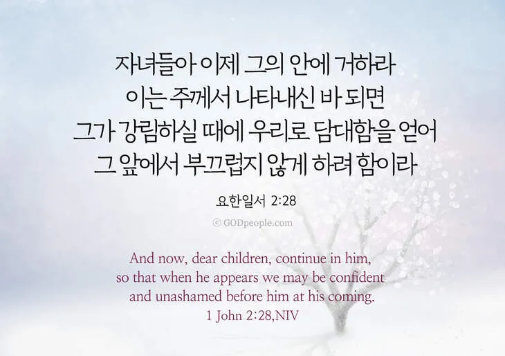 요한일서 4장 19절 묵상 - 우리가 사랑함은 그가 먼저 우리를 사랑하셨음이라_6