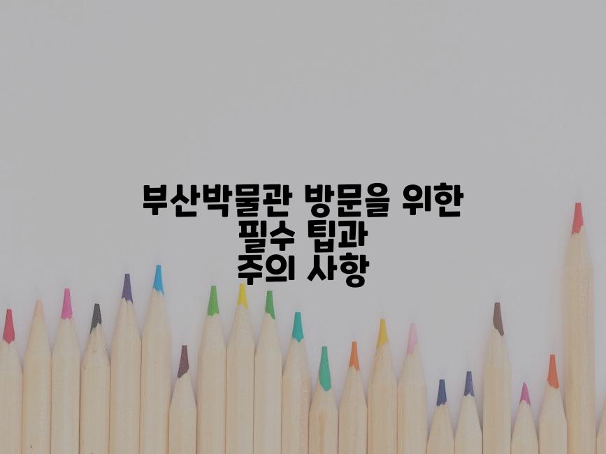 부산박물관 방문을 위한 필수 팁과 주의 사항