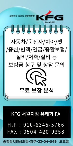 무료-보장-분석