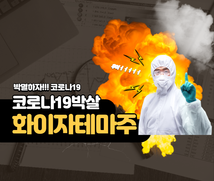  【섹터분석】 화이자 관련 테마종목 정리