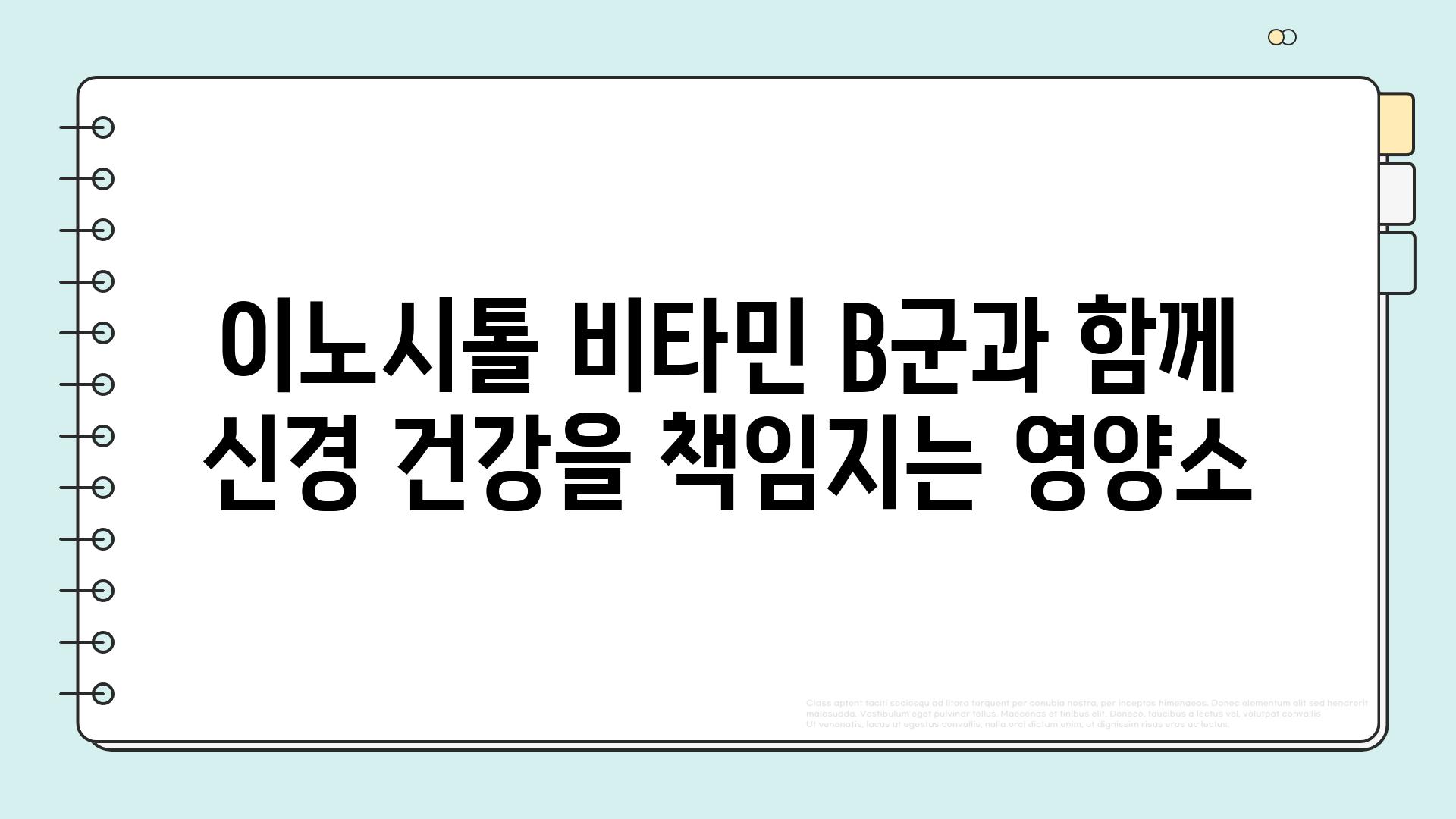 이노시톨 비타민 B군과 함께 신경 건강을 책임지는 영양소