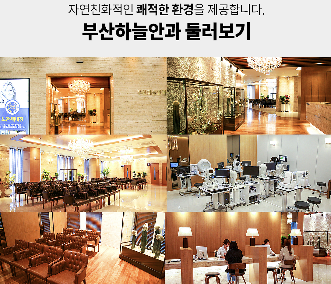  부산 라식 라섹 하려면