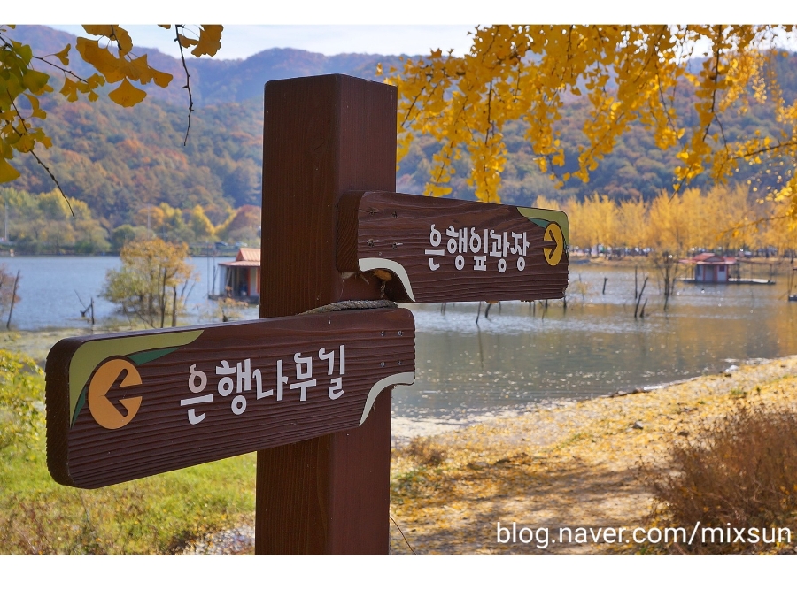 단풍구경 가볼만한 곳 괴산 가볼만한곳 9