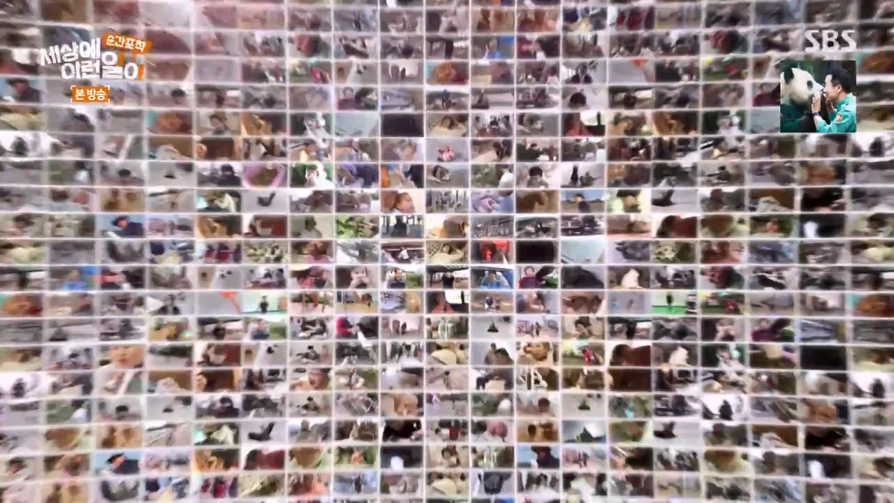 순간포착 세상에 이런일이.E1269.240317p-NEXT.mp4_20240317_163616.047.jpg