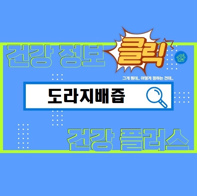 건강정보
