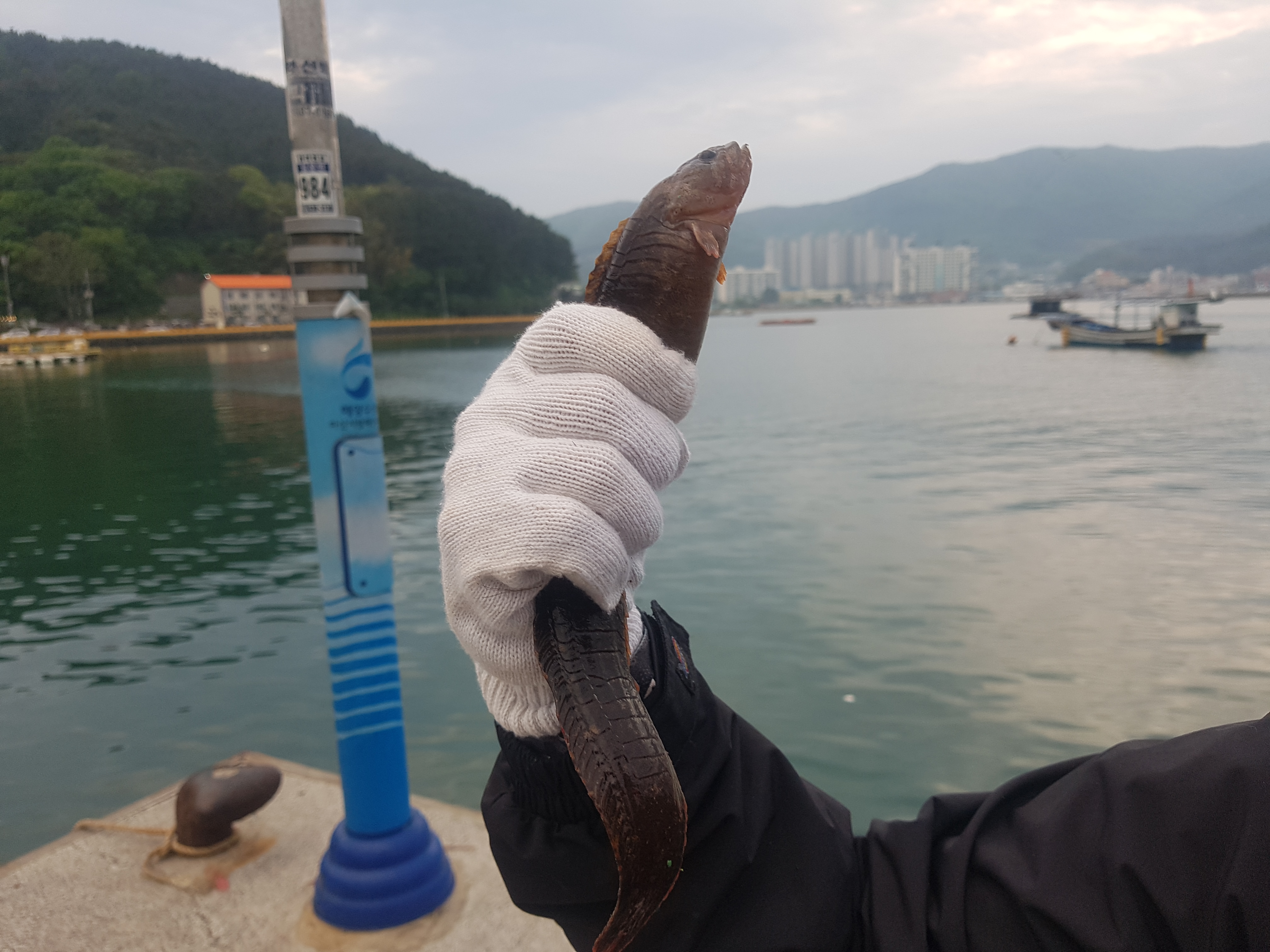  거제도 지세포 선착장 낚시 - 지세포 방파제 근처 (5월)