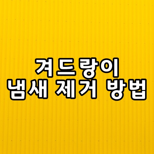  겨드랑이 냄새 제거 방법 BEST 10