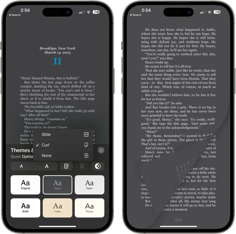 Apple Books 페이지 넘기기 애니메이션
