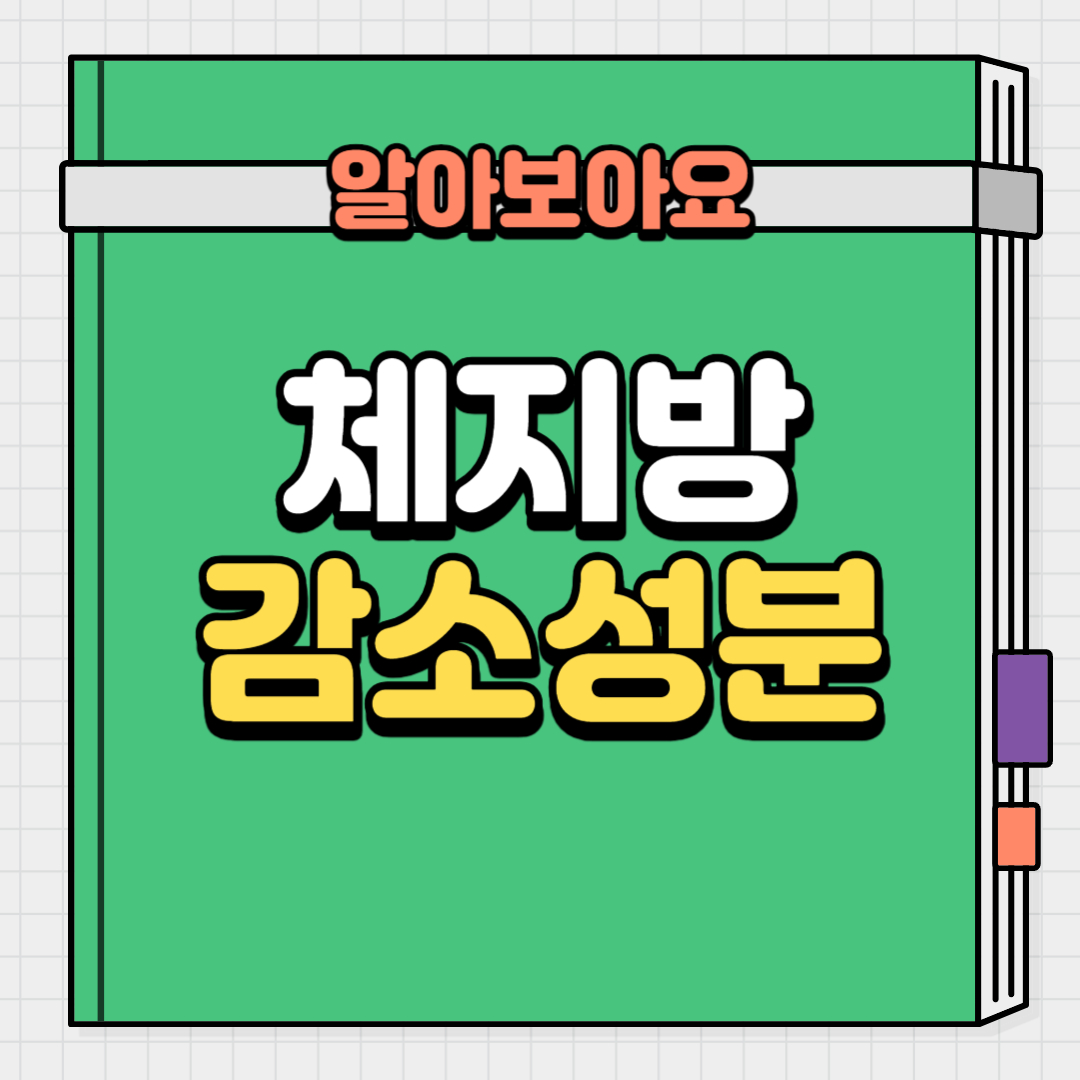 체지방 감소 시켜주는 성분 정리