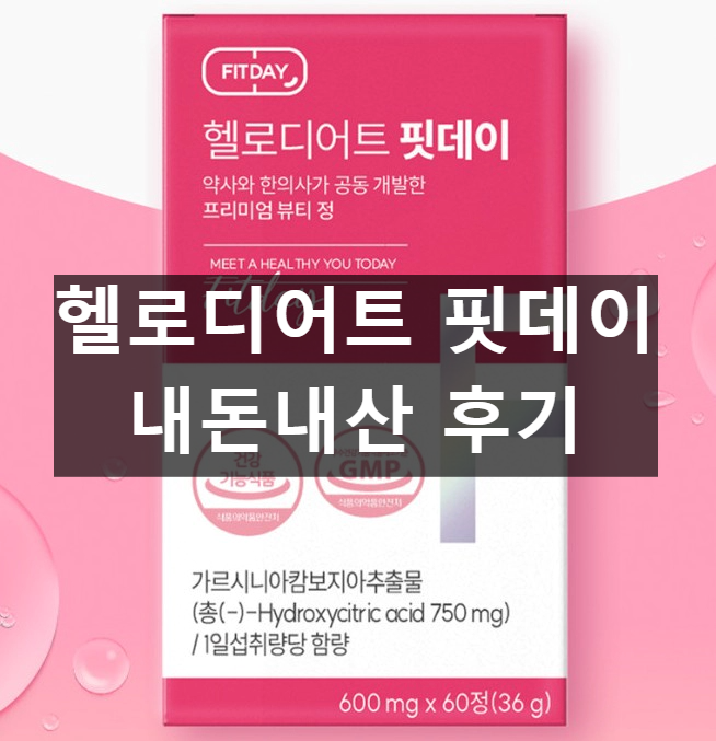 헬로디어트 핏데이