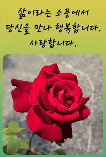 6월 인사말 모음집 이미지 문구 이미지 모음_9