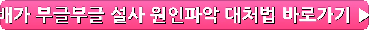 배가 부글부글 설사 원인파악 대처법_11