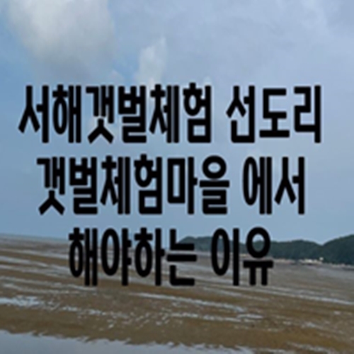  서해갯벌체험 선도리 갯벌체험마을 에서 해야하는 이유