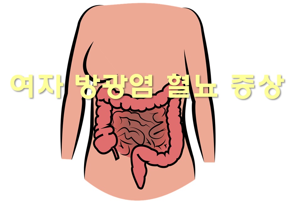  여자 방광염 혈뇨 증상과 혈뇨 자가진단 방법