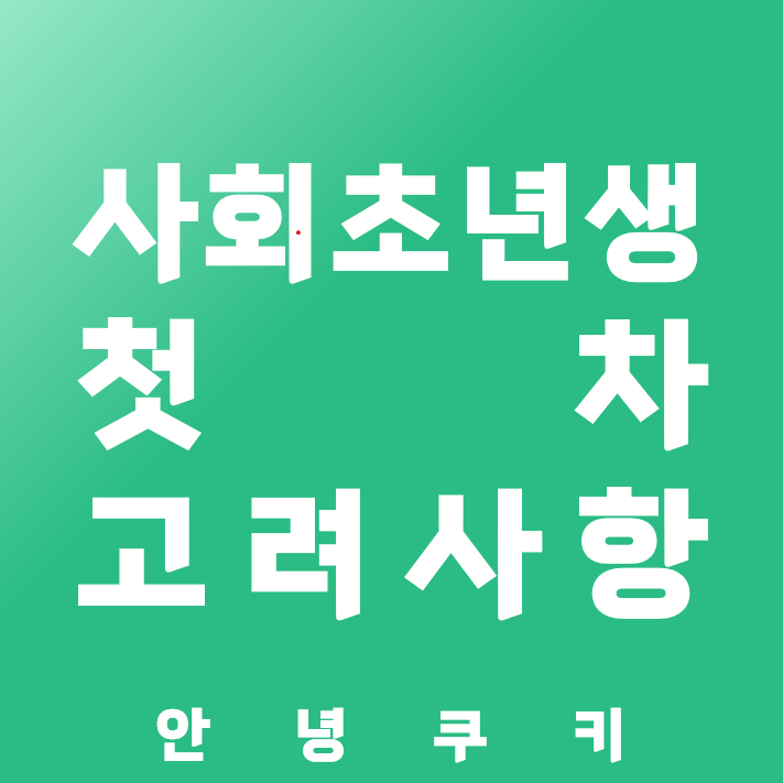 첫차 구매 전 고려해야 할 유지비와 보험료