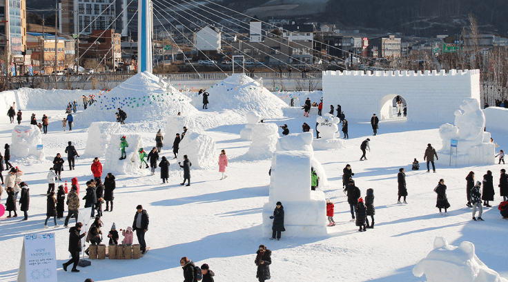 대관령 눈꽃축제 주차 주차장 셔틀버스