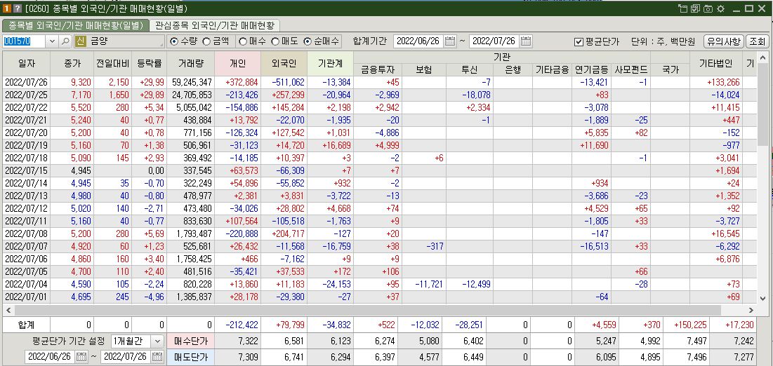 금양 상한가