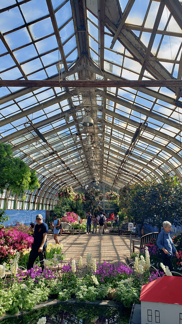 Lincoln-Park-Conservatory-내부