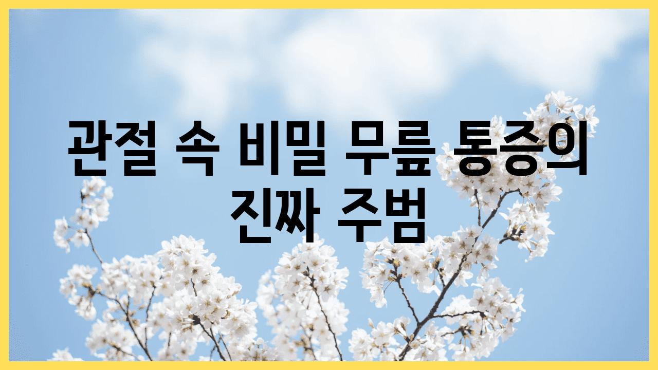 관절 속 비밀 무릎 통증의 진짜 주범