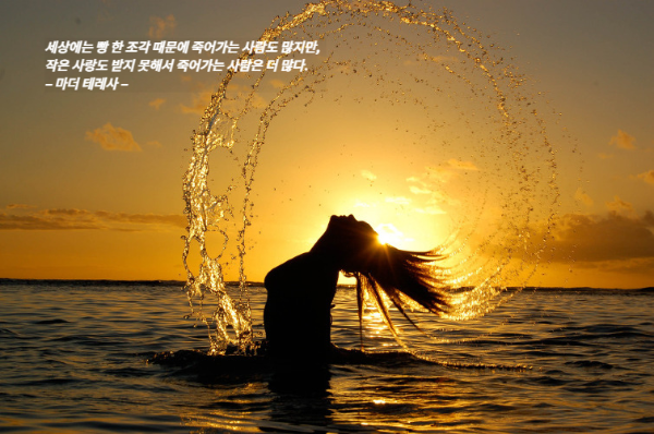 언덕위에하얀집 이미지