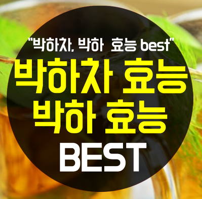  박하차 효능 핵심정리