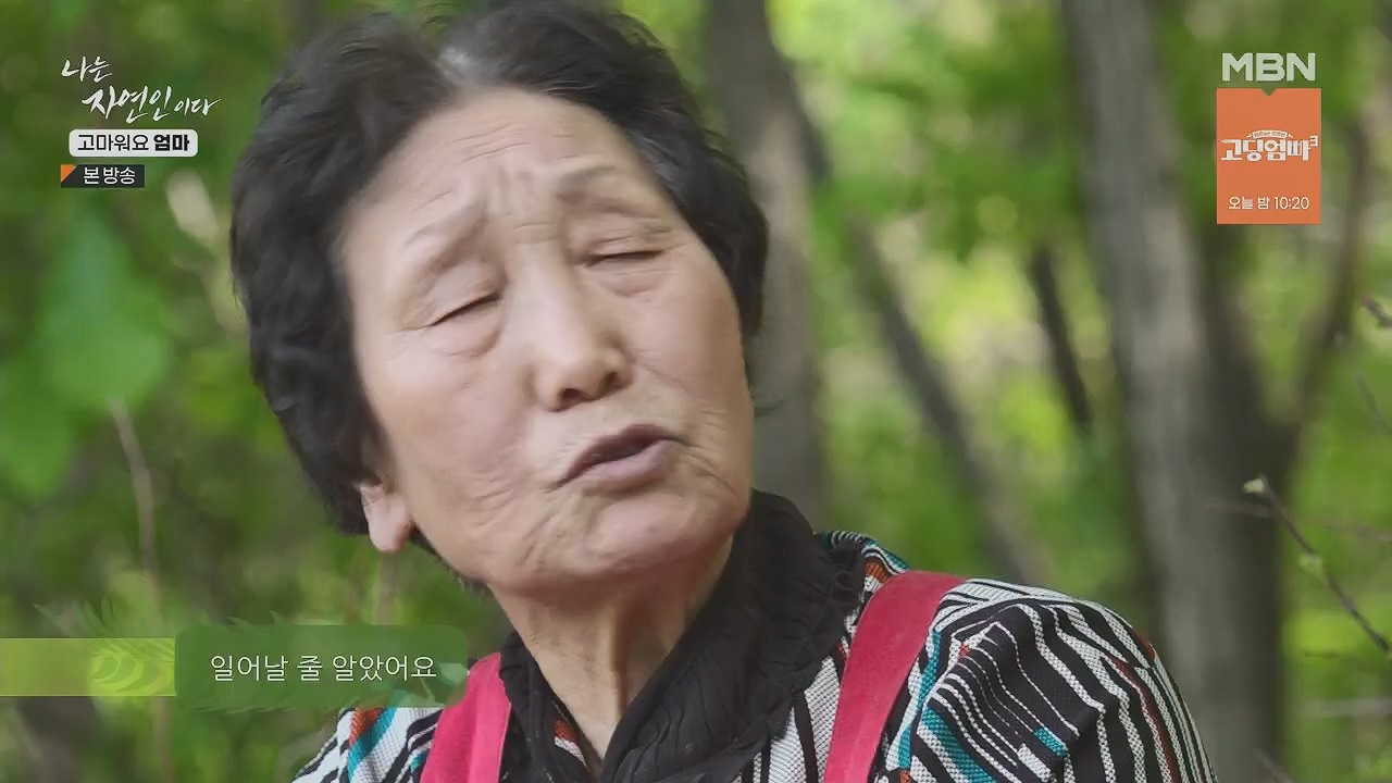 나는 자연인이다.E554.230518p.H264-F1RST.mp4_20230518_194513.561.jpg